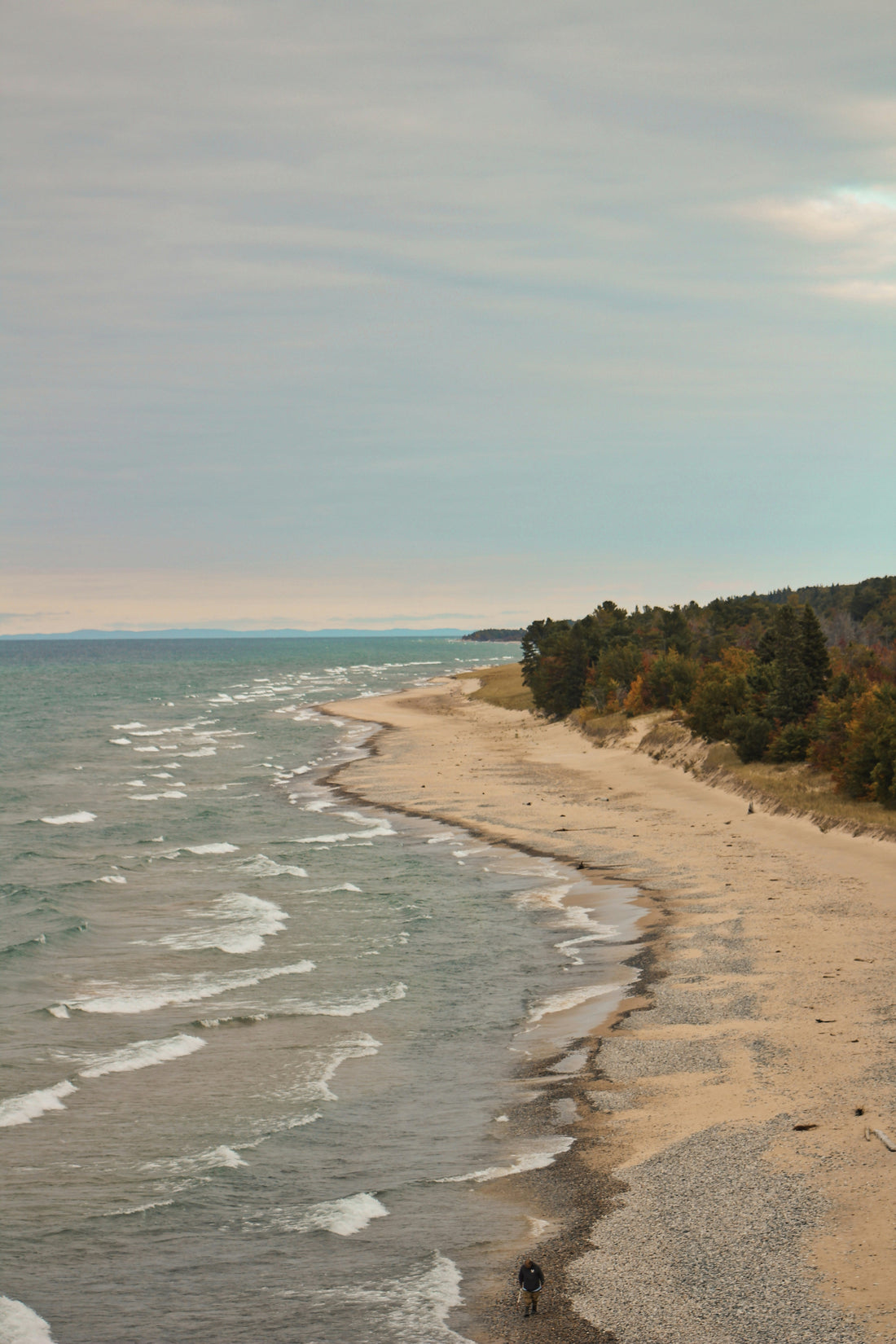 Top or Best Brochure Design Agencies and Companies in Lansing, Michigan