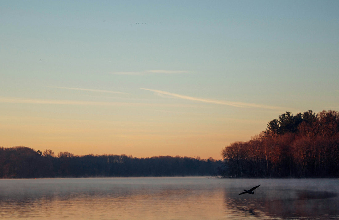 Top and Best Social Media Design Agencies and Companies in Hampton, Virginia
