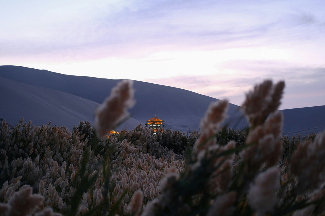 Top and Best NFT Art Agencies and Companies in Sunrise Manor, Nevada