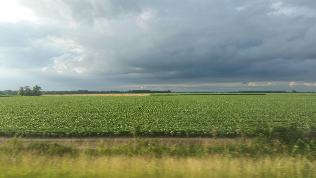 Top or Best Copywriting Agencies and Companies in Emporia, Kansas