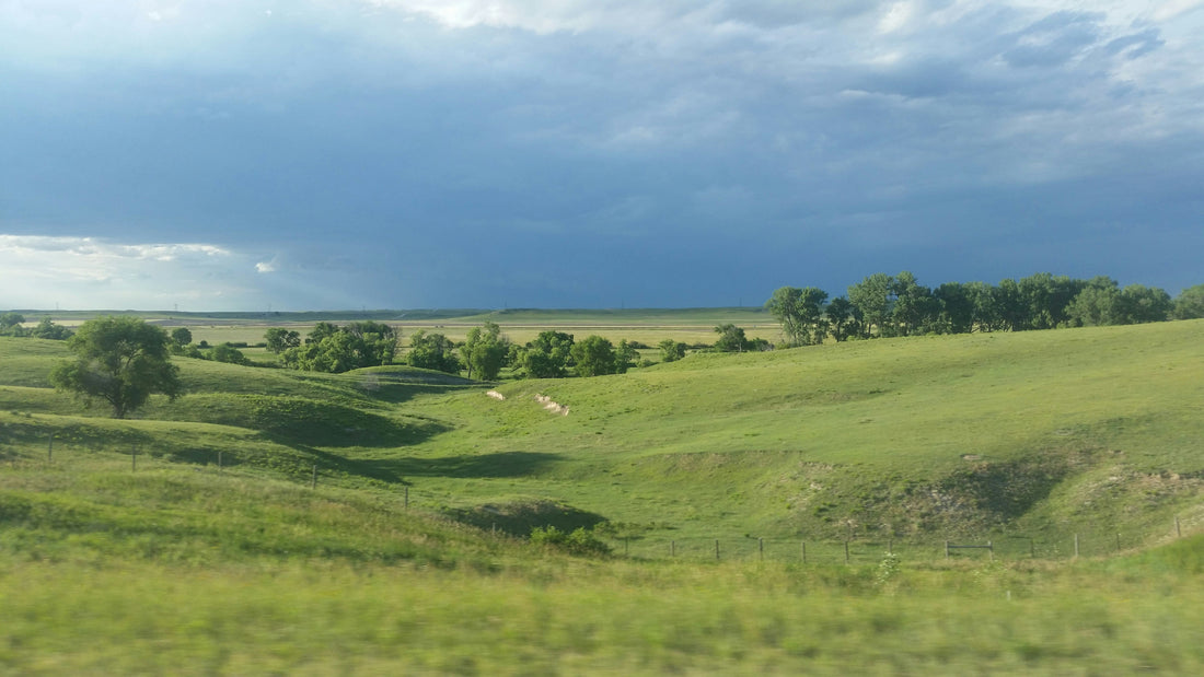 Top and Best App UI/UX Design Agencies and Companies in Huron, South Dakota