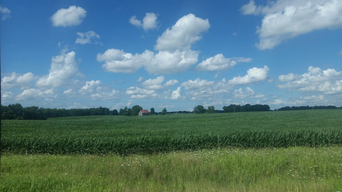 Top or Best Copywriting Agencies and Companies in Urbandale, Iowa