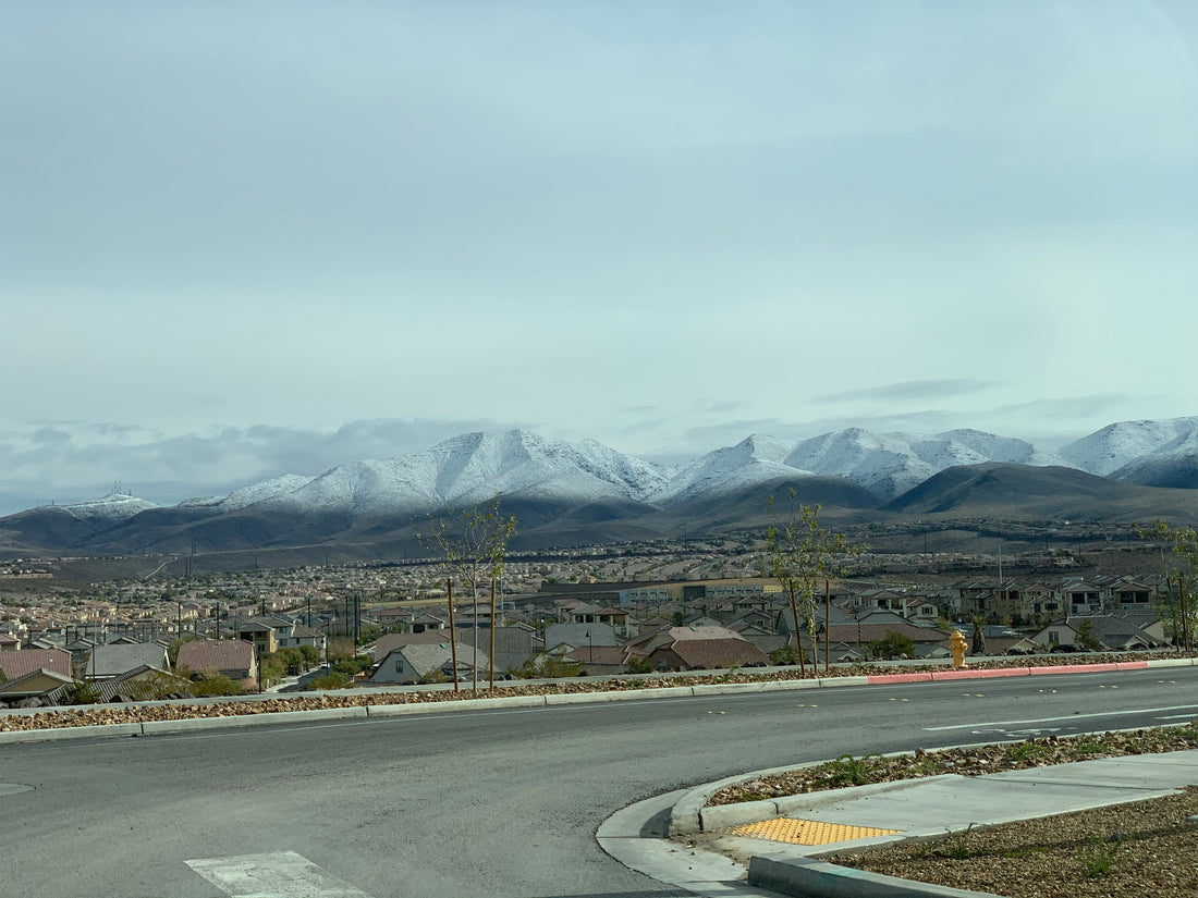 Top or Best NFT Art Agencies and Companies in Spring Valley, Nevada