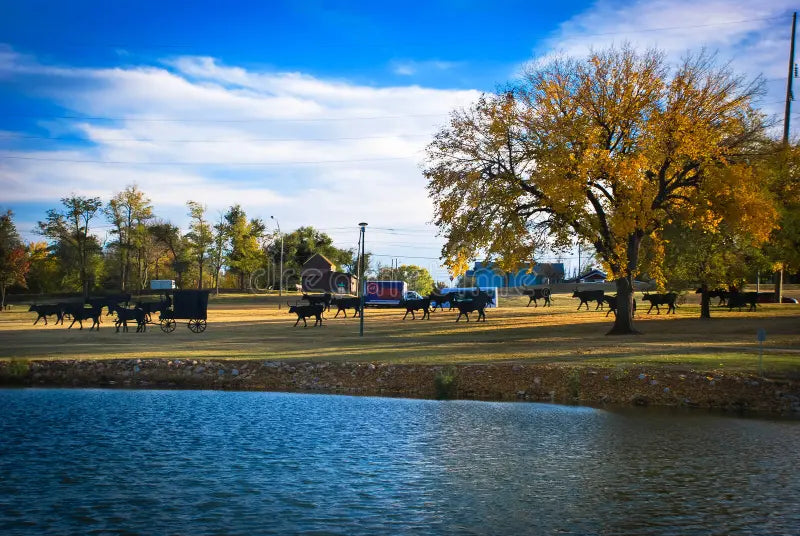 Top or Best Photo Editing Agencies and Companies in Enid, Oklahoma