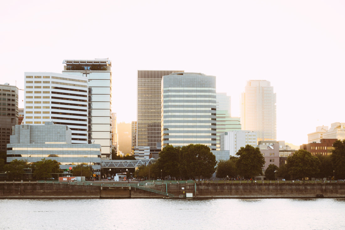 Top and Best Instagram Management Agencies and Companies in Alexandria, Virginia