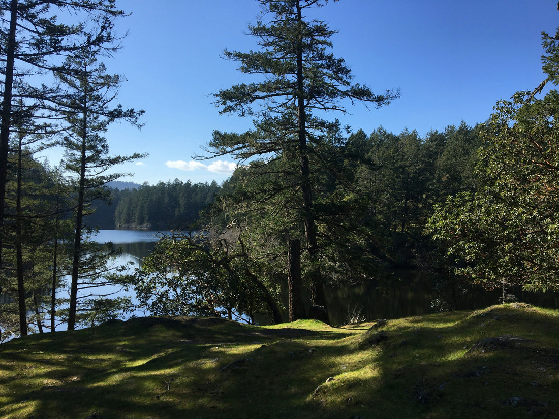 Top and Best Animation and Motion Graphics Agencies and Companies in Salem, Oregon