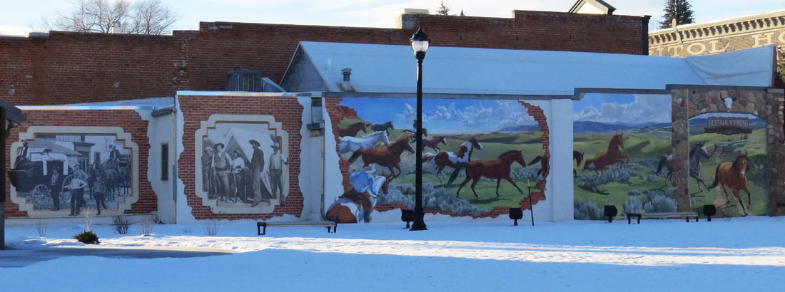 Top or Best Custom Graphics for Videos Agencies and Companies in Buffalo, Wyoming