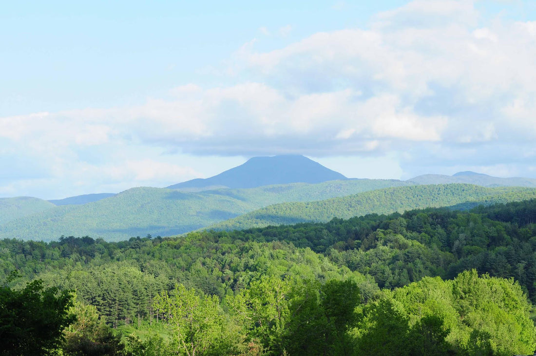 Top or Best Social Media Management Agencies and Companies in Essex, Vermont