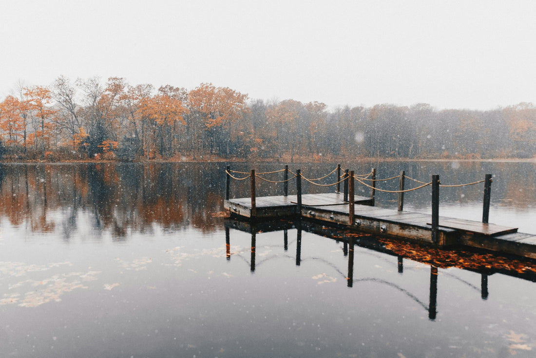 Top and Best Drawing & Illustration Agencies and Companies in Suffolk, Virginia