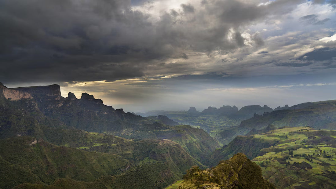 Top or Best Athlete Brand Partnership Agencies and Companies in Ethiopia