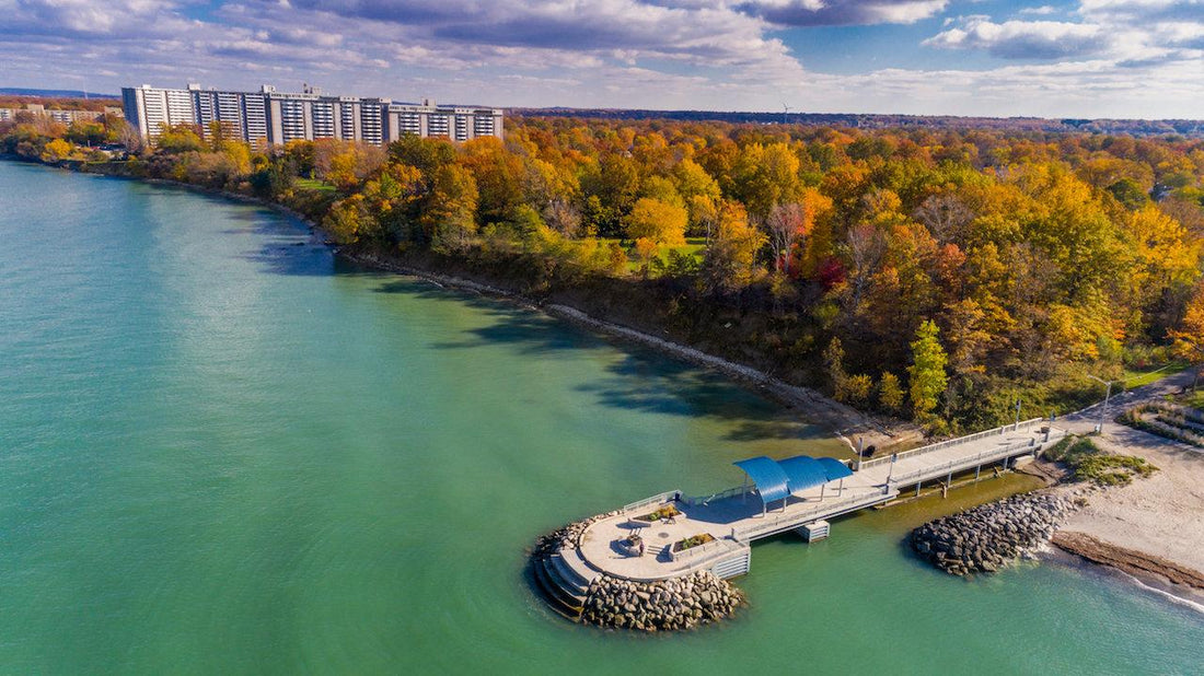 Top or Best TikTok Management Agencies and Companies in Euclid, Ohio