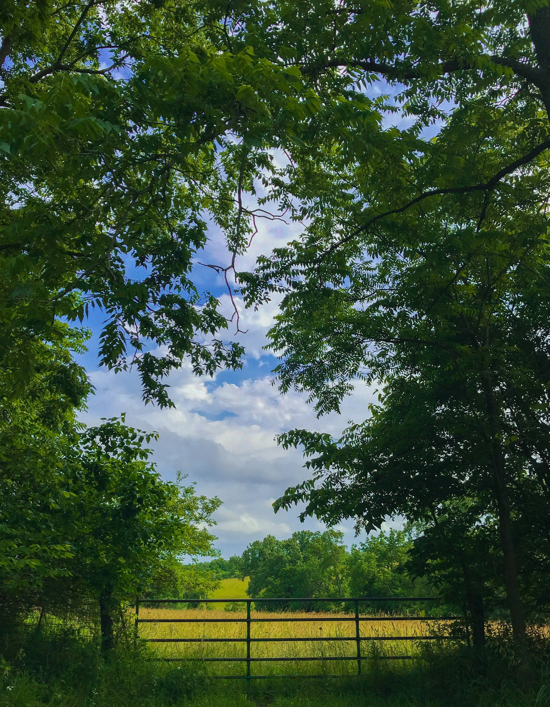 Top or Best Logo Design Agencies and Companies in Des Moines, Iowa