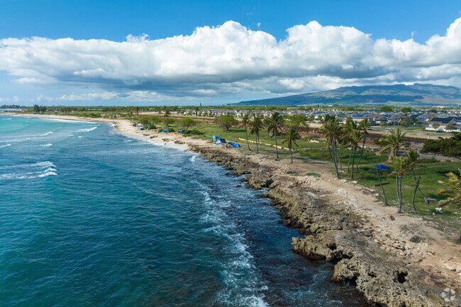 Top or Best NFT Art Agencies and Companies in Ewa Gentry, Hawaii
