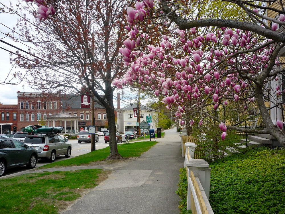 Top or Best AR Filters & Lenses Agencies and Companies in Exeter, New Hampshire