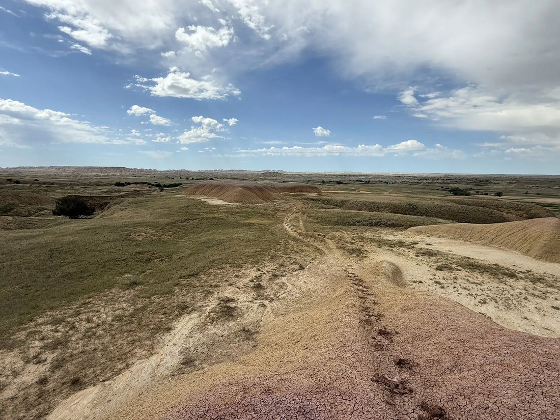 Best or Top Website Design Agencies and Companies in Sioux Falls, South Dakota