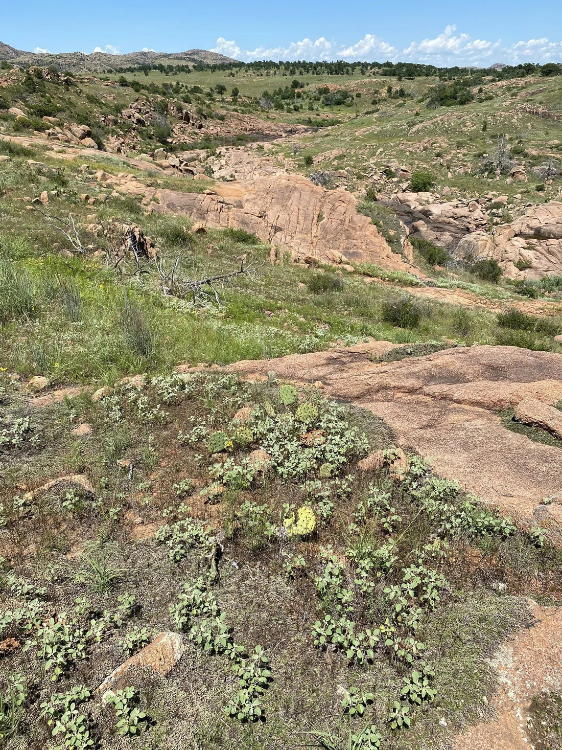 Best or Top Flyer Design Agencies and Companies in Mustang, Oklahoma