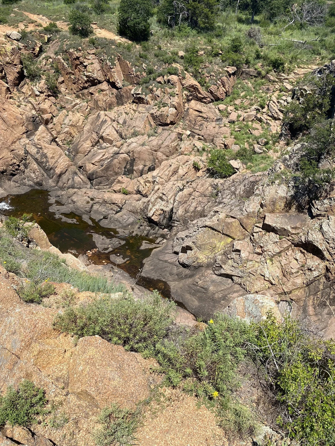 Best or Top Infographic Design Agencies and Companies in Mustang, Oklahoma