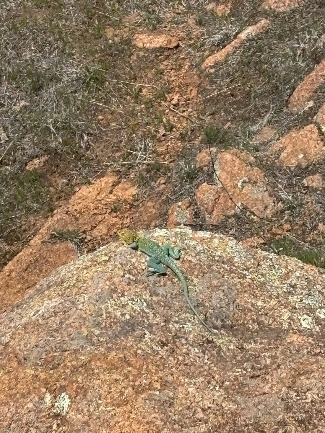 Best or Top Photo Editing Agencies and Companies in Mustang, Oklahoma