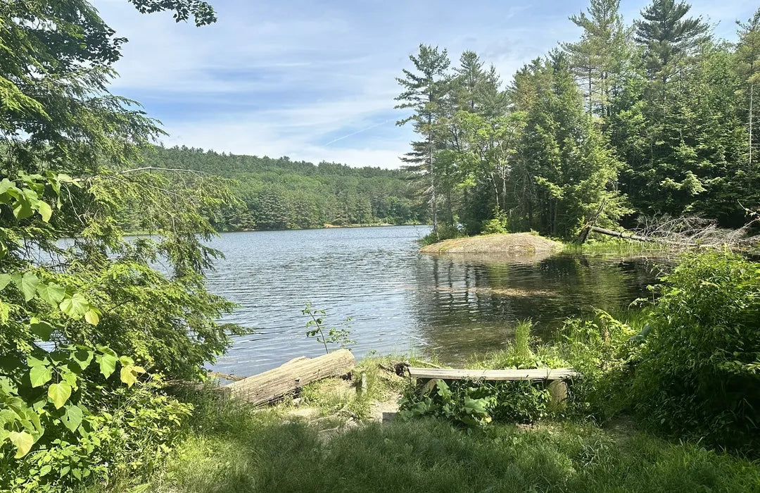 Top or Best Web and Mobile Design Agencies and Companies in Essex, Vermont