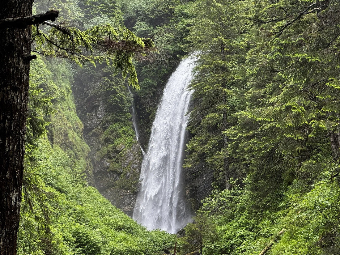 Top T-Shirt and Merchandise Design Agencies and Companies in Alaska
