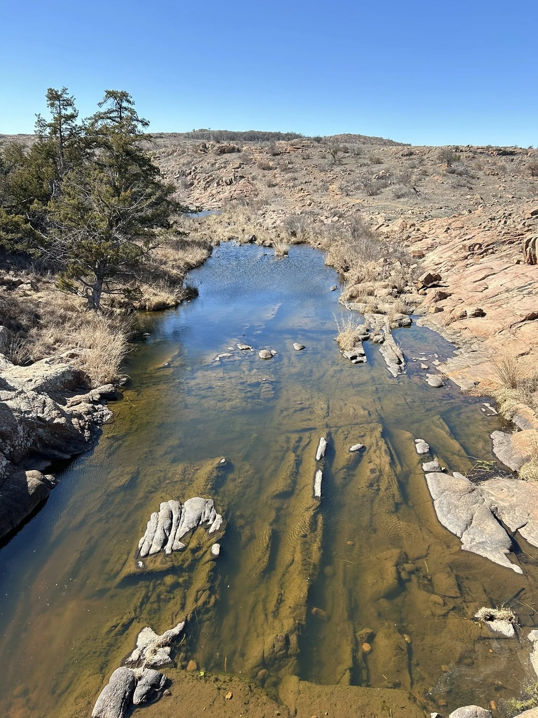 Best or Top Social Media Design Agencies and Companies in Mustang, Oklahoma