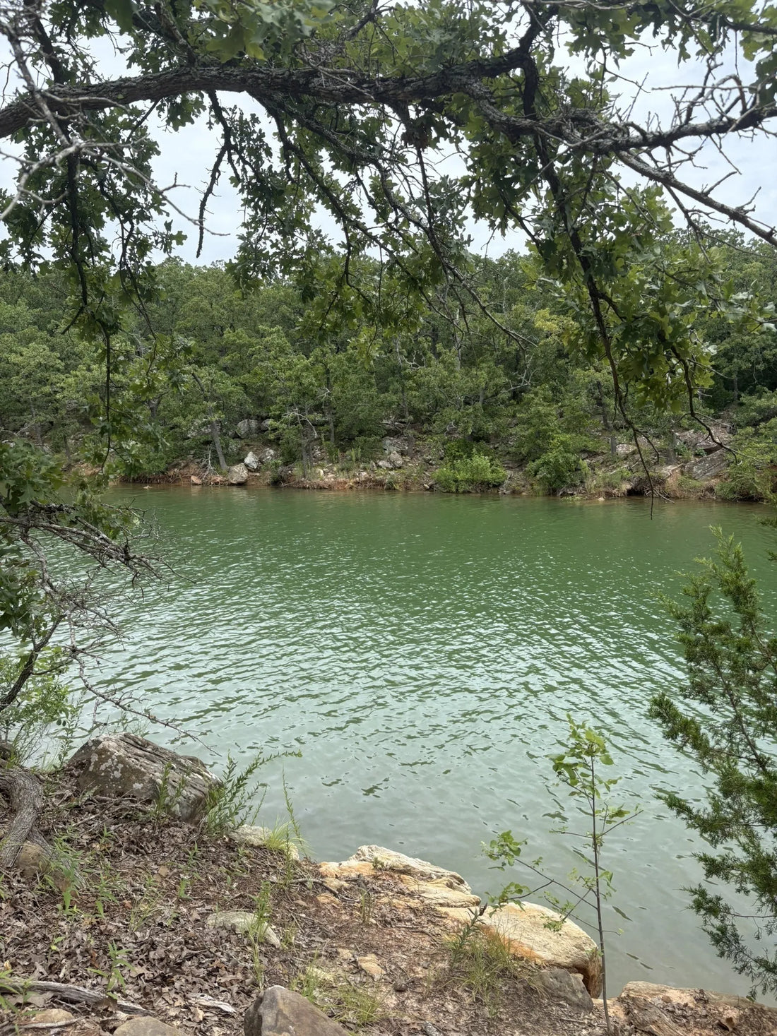 Best or Top Web & Mobile Design Agencies and Companies in Ardmore, Oklahoma