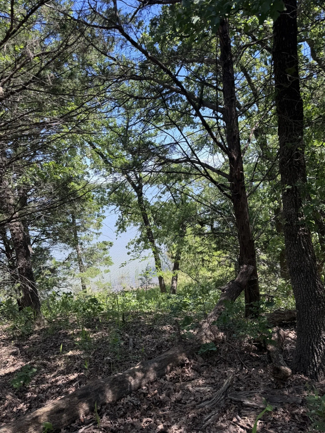 Best or Top Tattoo Design Agencies and Companies in Ardmore, Oklahoma