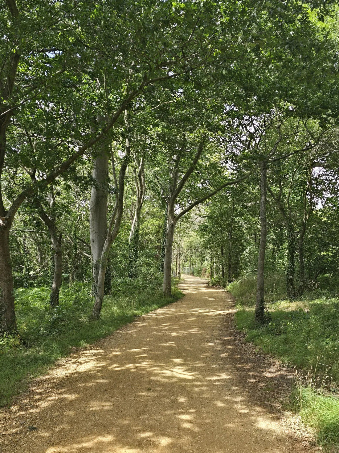 Top or Best Postcard Design Agencies and Companies in Poole, England