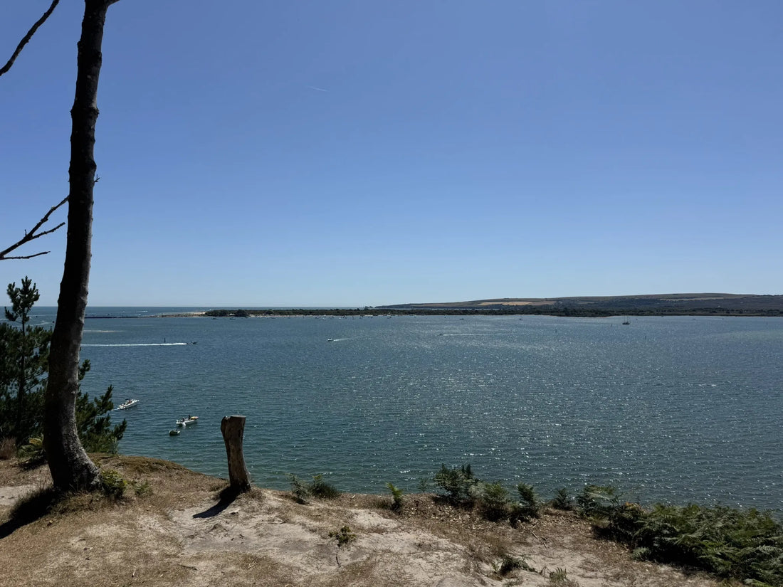 Top or Best Photo Editing Agencies and Companies in Poole, England