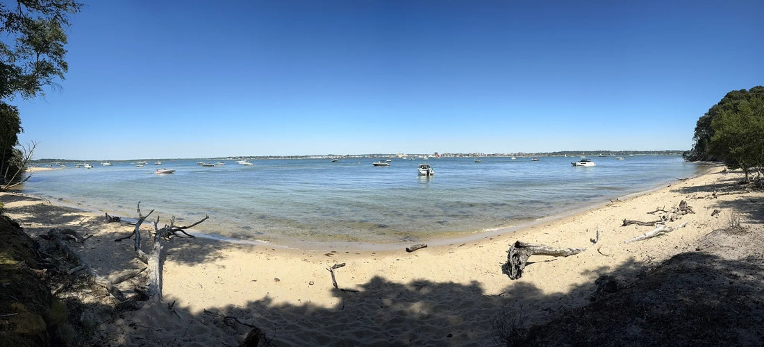 Top or Best Poster Design Agencies and Companies in Poole, England