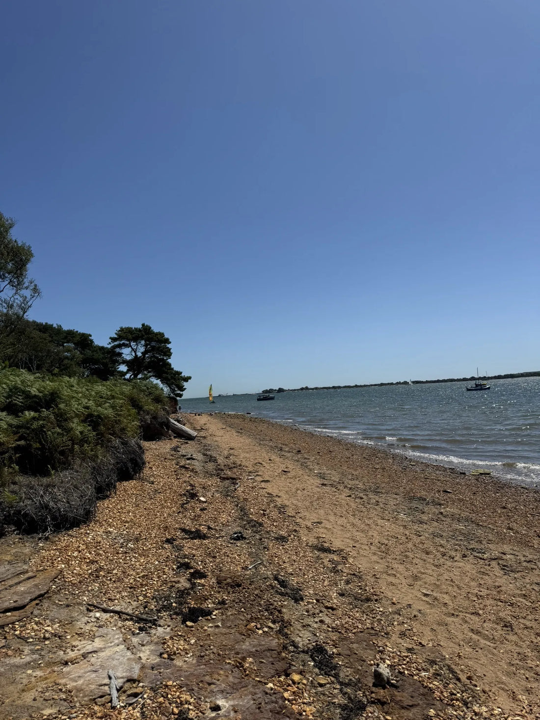 Top or Best Infographic Design Agencies and Companies in Poole, England