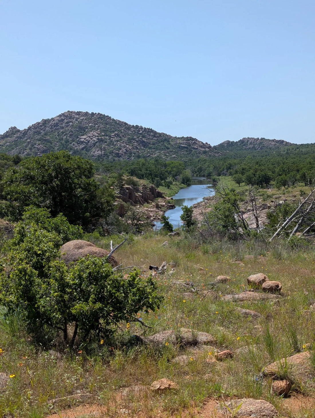 Best or Top Tattoo Design Agencies and Companies in Mustang, Oklahoma