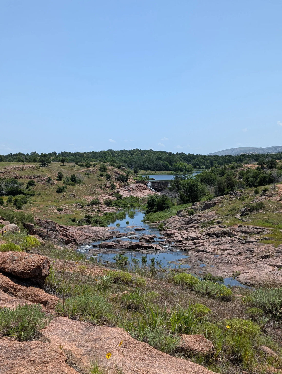 Best or Top Cartoons & Comics Agencies and Companies in Mustang, Oklahoma