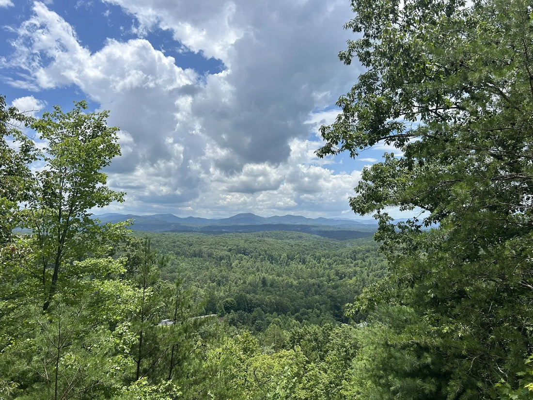 Top or Best Facebook Management Agencies and Companies in Georgia