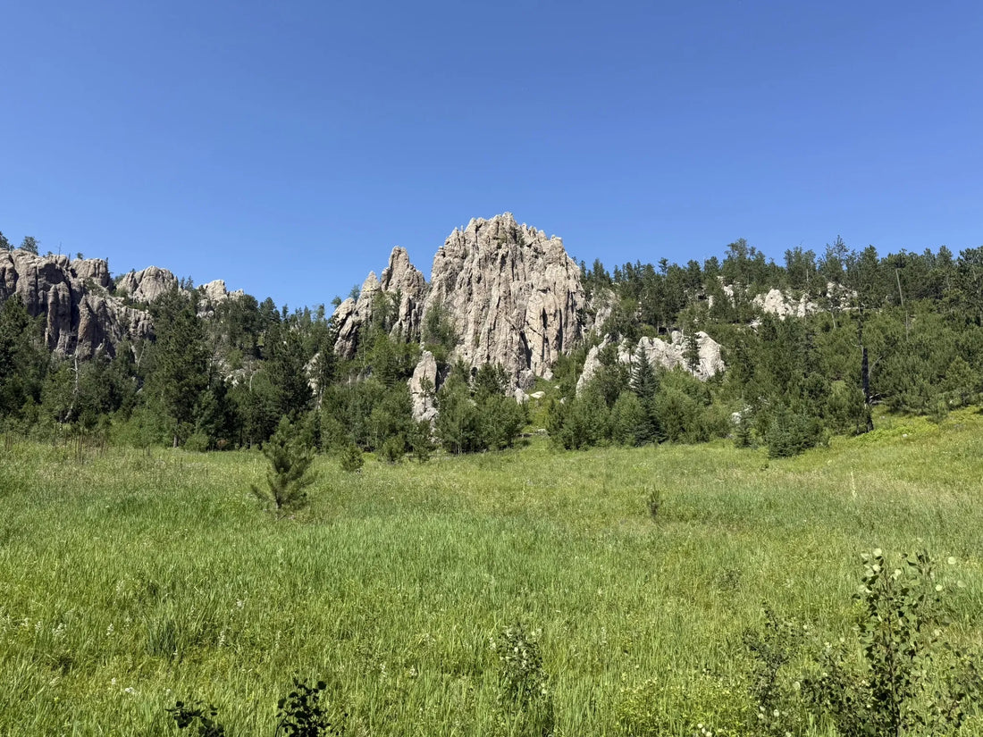 Best or Top Postcard Design Agencies and Companies in Yankton, South Dakota