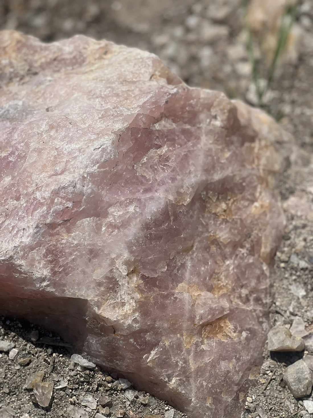 Best or Top Infographic Design Agencies and Companies in Yankton, South Dakota