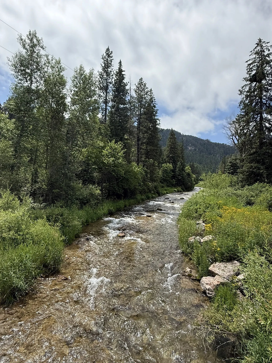 Best or Top Menu Design Agencies and Companies in Yankton, South Dakota