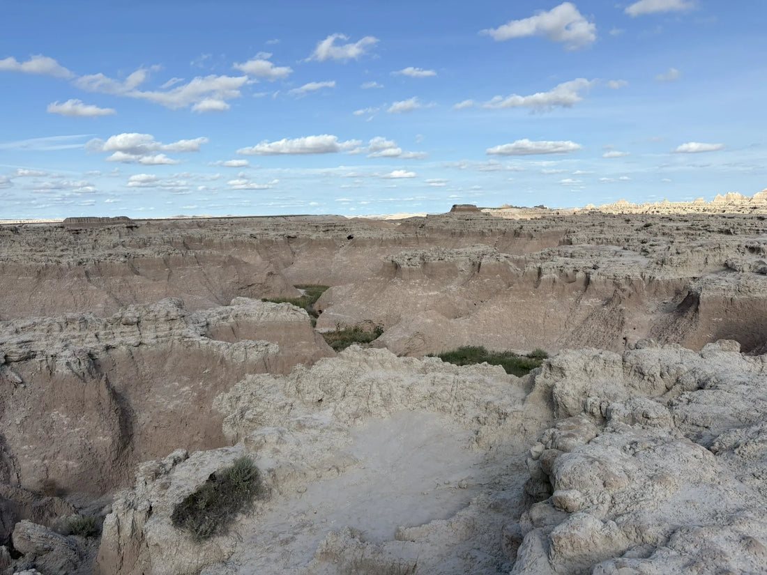 Best or Top YouTube Management Agencies and Companies in Bookings, South Dakota