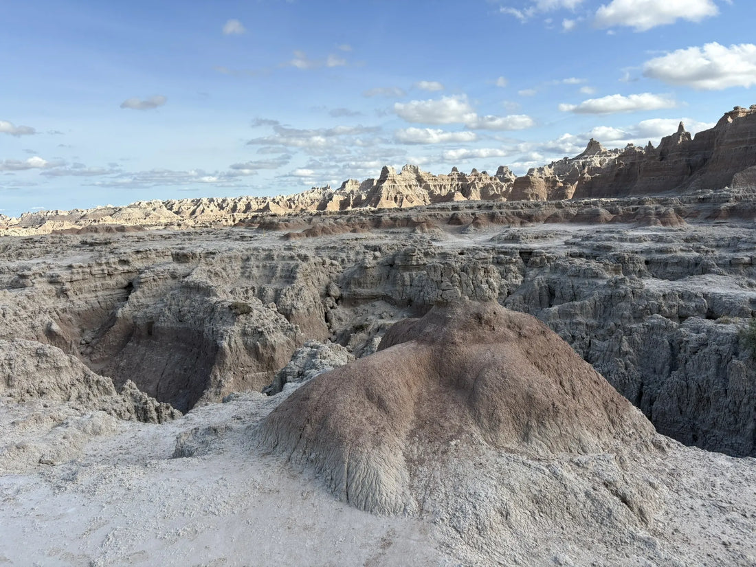 Best or Top Twitch Management Agencies and Companies in Bookings, South Dakota