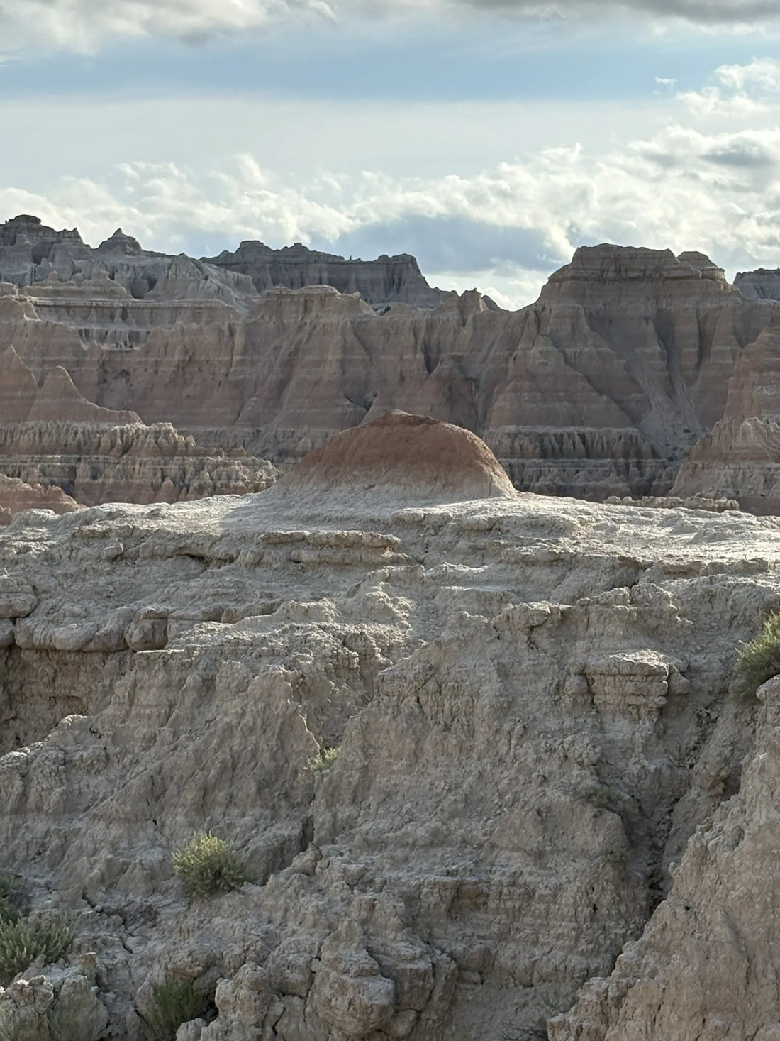Best or Top Graphic Design Subscription Agencies and Companies in Bookings, South Dakota