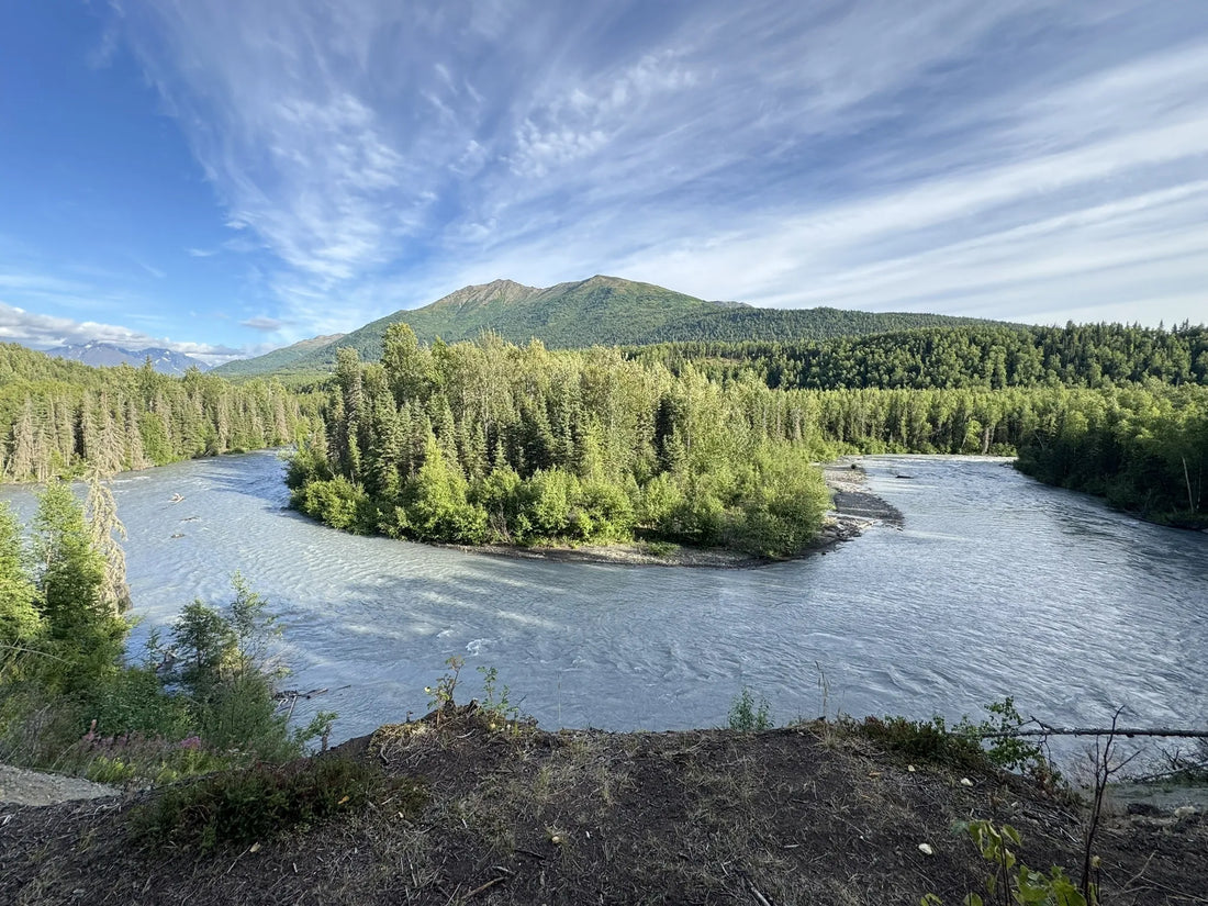Top Influencer Marketing Agencies and Companies in Alaska
