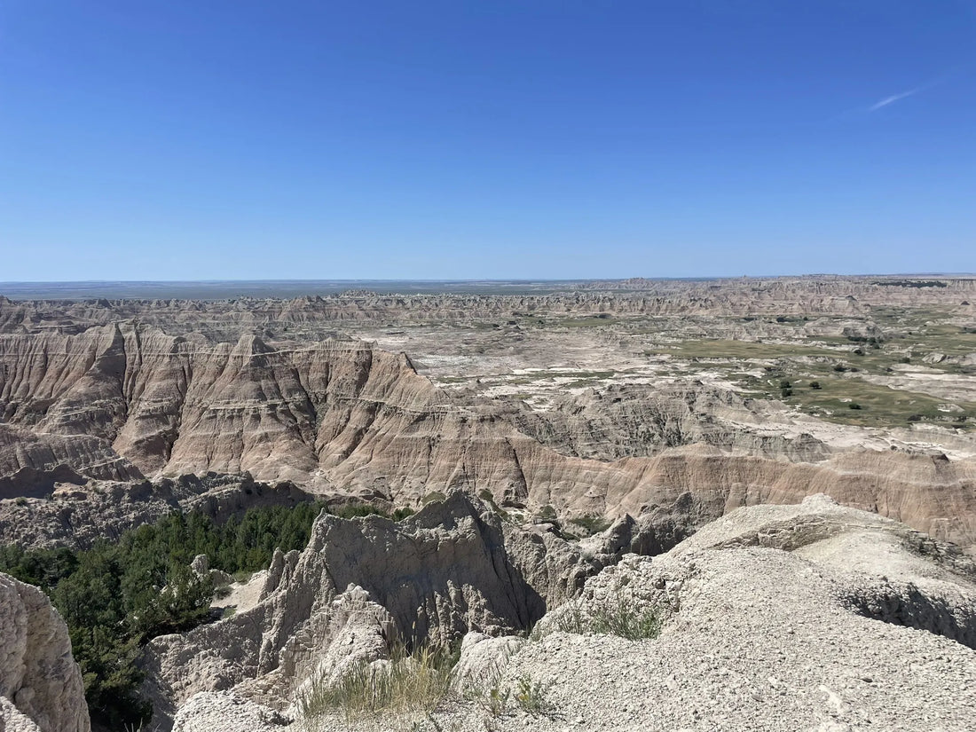 Best or Top Web & Mobile Design Agencies and Companies in Watertown, South Dakota