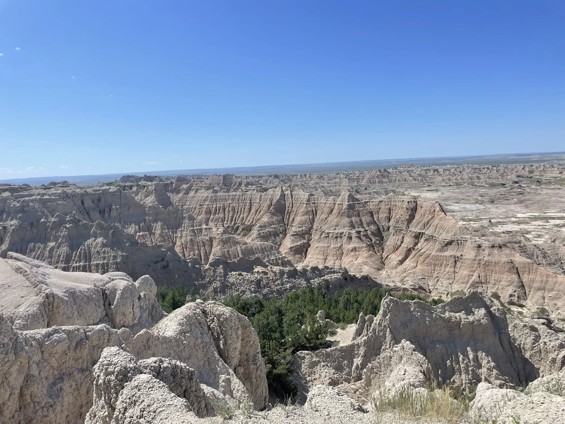 Best or Top Tattoo Design Agencies and Companies in Watertown, South Dakota