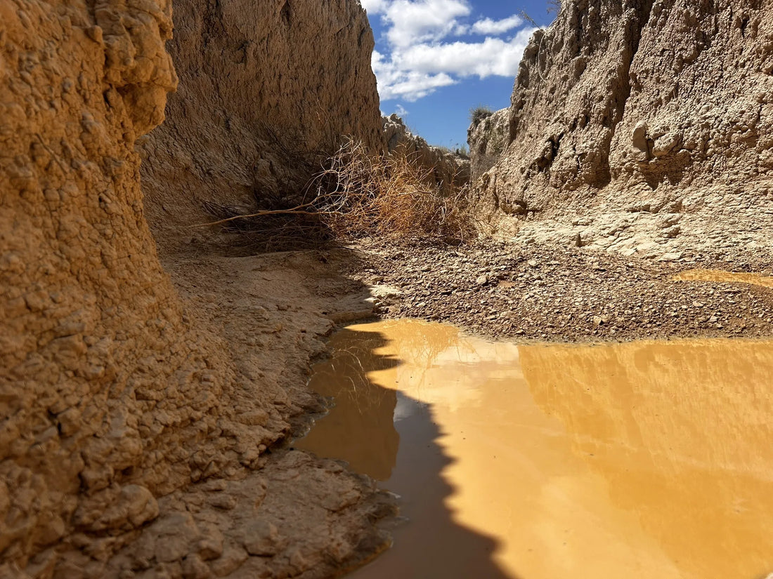 Best or Top Portraits & Caricatures Agencies and Companies in Watertown, South Dakota