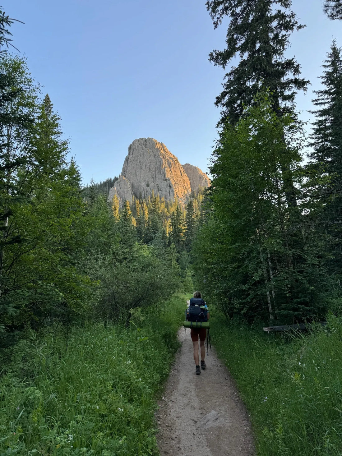 Best or Top Drawing & Illustration Agencies and Companies in Watertown, South Dakota