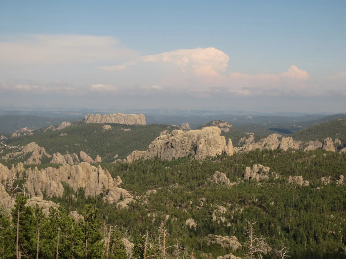 Best or Top Business Card Design Agencies and Companies in Watertown, South Dakota