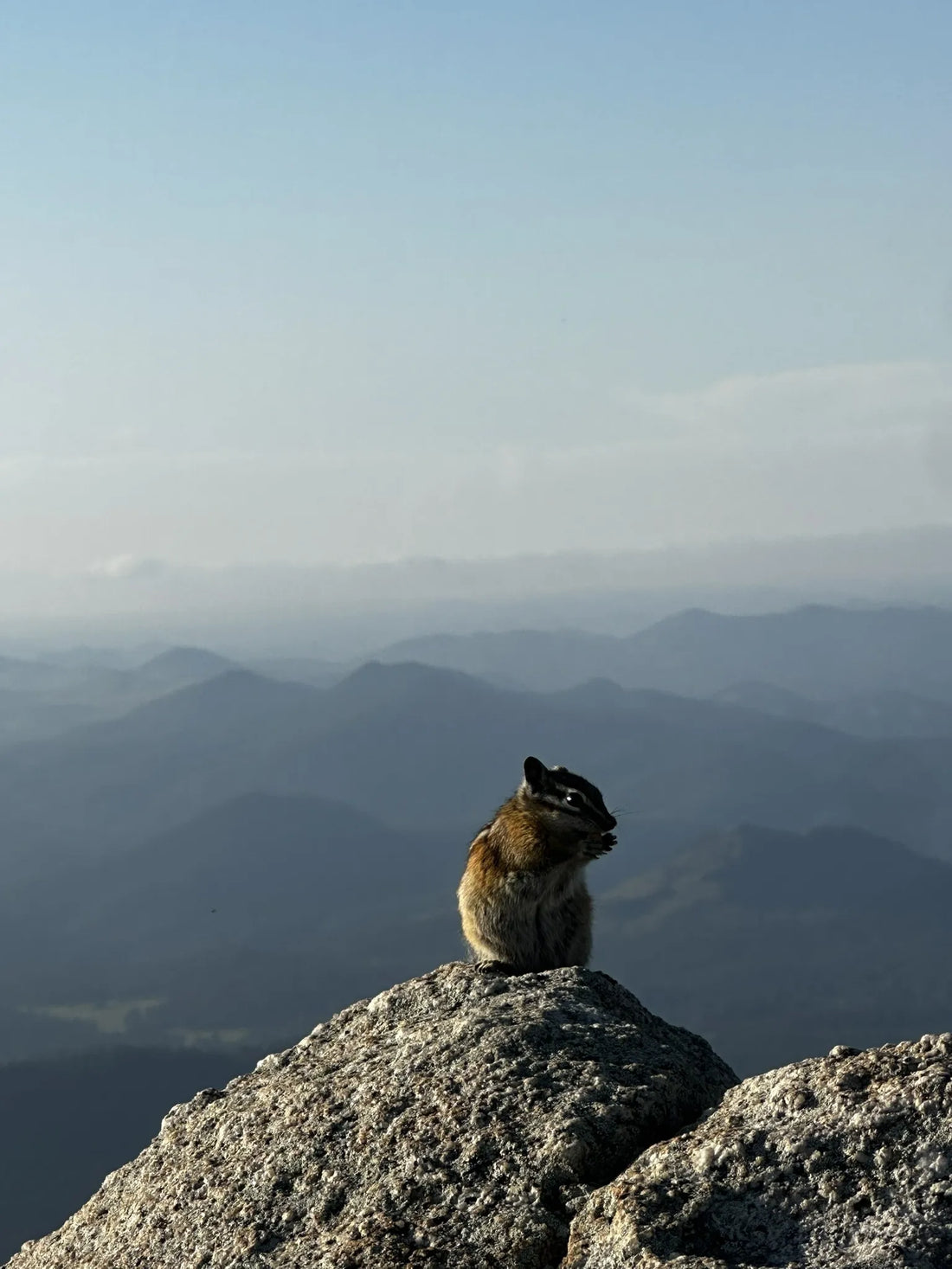 Best or Top Logo Design Agencies and Companies in Watertown, South Dakota