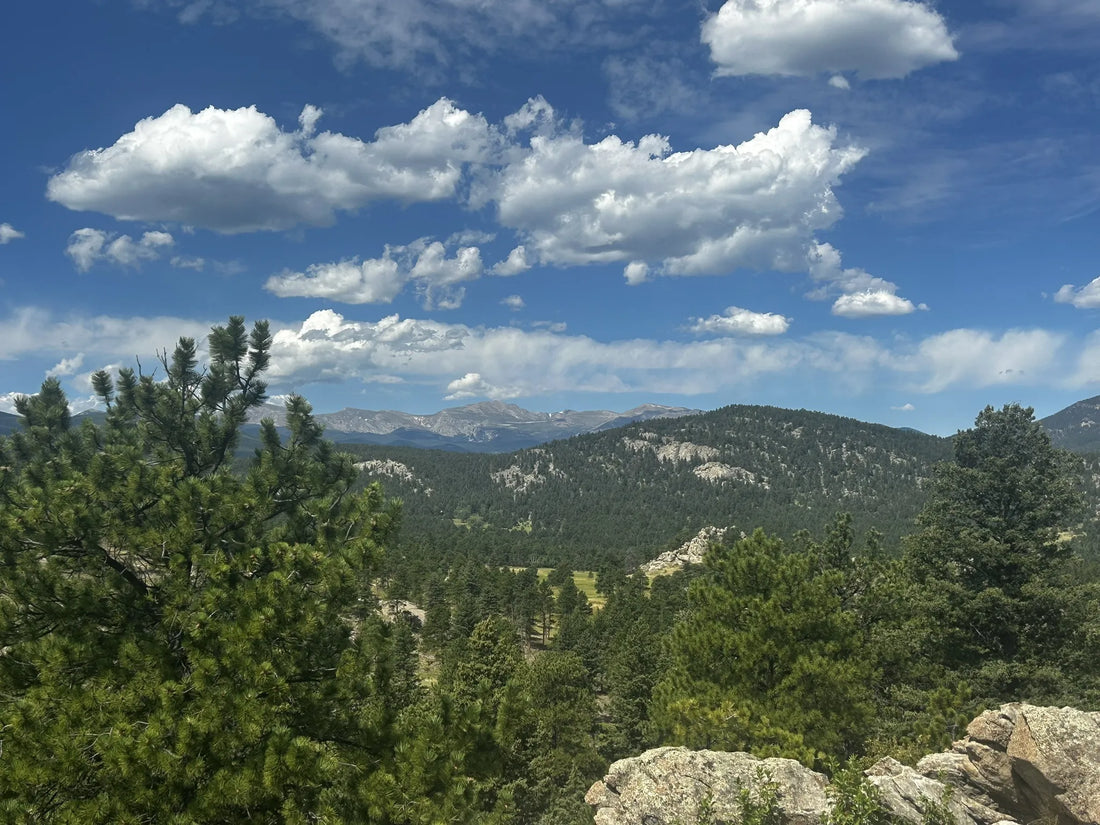 Top Athlete Brand Collaboration Agencies and Companies in Colorado