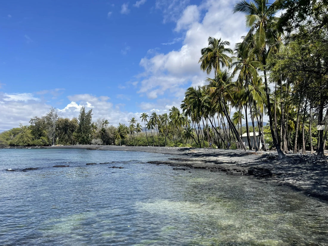 Top or Best Web & Mobile Design Agencies and Companies in Hawaii