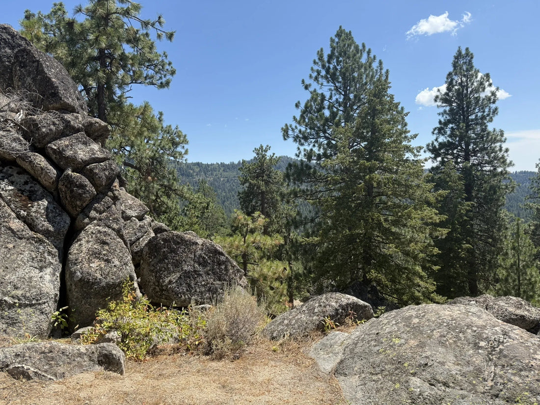 Top or Best T-Shirt & Merchandise Design Agencies and Companies in Idaho